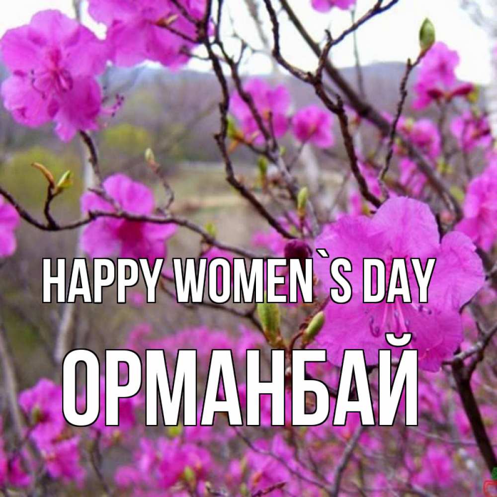 Greetings card с именем, ОРМАНБАЙ happy women`s day международный женский день Greetings with text for free download 